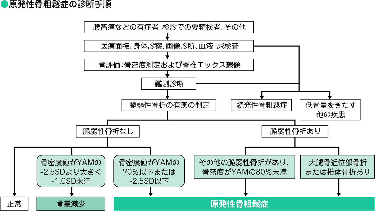 原発性骨粗鬆症の診断手順